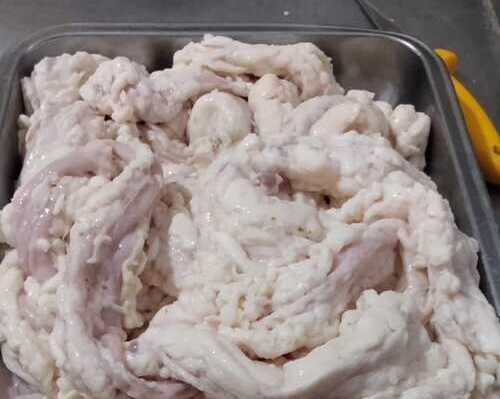 tripa gorda